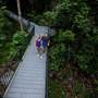 Mossman Gorge