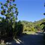 The Backlot, Bonogin - Overview