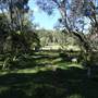 The Backlot, Bonogin - Overview