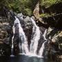 Spring Creek - near Port Douglas