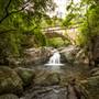 Little Crystal Creek Bridge