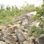 Murray Falls (Girramay National Park)