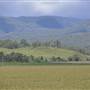 Country Valley Road