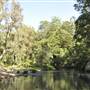 Venus Pools, Stream & Forest