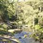 Venus Pools, Stream & Forest