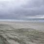 Mulgumpin (Moreton Island) - East Coast Beach