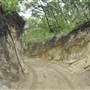 Mulgumpin (Moreton Island) Bush Track - Middle Road