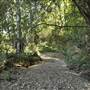 The Backlot, Bonogin - Dry River Bed