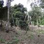 Anstead Bushland Reserve