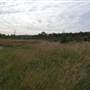 Bushland / Nature Reserve
