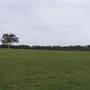 Bushland / Nature Reserve