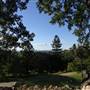 Cunningham's Knoll