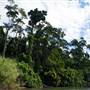Mulgrave River (Cairns Region)
