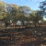 Longreach - Mount Slowcombe