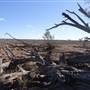 Isisford-Emmet Rd