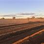 Isisford-Yaraka Service Road