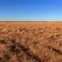 Age Of Dinosaurs (Rangelands)
