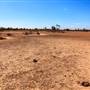 Bladensburg National Park