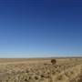 Winton - Kennedy Development Rd