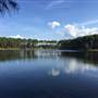 Pine Forest, Riverside Skate Park & Open Sports Fields - Pizzey Park