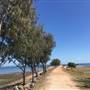 St Helena Island National Park  - Dock / Jetty