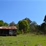 Cloverdale Farm