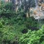 Purling Brook Falls - Springbrook National Park