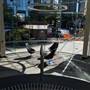 Eagle Street Lobby - Downtown Brisbane