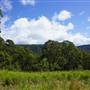 High Country Dirt Track