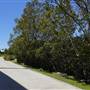 Mann Park - Freeway Cloverleaf