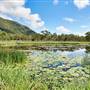 Townsville Region - Cromarty Wetlands