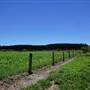 Glamorgan Vale Township
