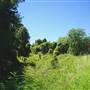 Rosewood Township