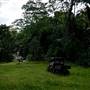 Hinterland Jungle Backlot