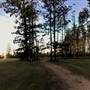 The Secret Forest - Oxley Creek Common
