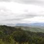 Dirt Road / Wilderness / Pastures