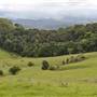 Rolling Hills & Rural Valley Road