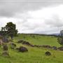 Rolling Hills & Rural Valley Road