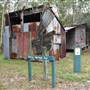 Harrys Hut Area (Noosa Everglades)