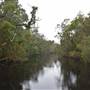 The Narrows (Noosa Everglades)