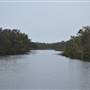 Lake Como (Noosa Everglades)