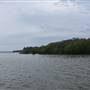 Lake Cootharaba (Noosa Everglades)
