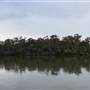 Lake Cooroibah (Noosa Everglades)