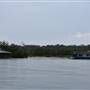 Noosa Everglades - Tewantin Docks