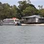 Noosa Everglades - Tewantin Docks