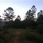 Castle Mountain Acreage
