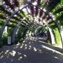 South Bank Grand Arbour