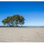 Beachmere Foreshore