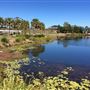 Town Park Lake Eden