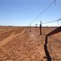 Boulia
